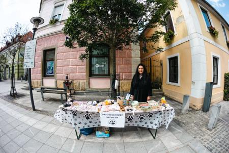 Sejem lokalnih organizacij za povezovanje skupnosti (6)